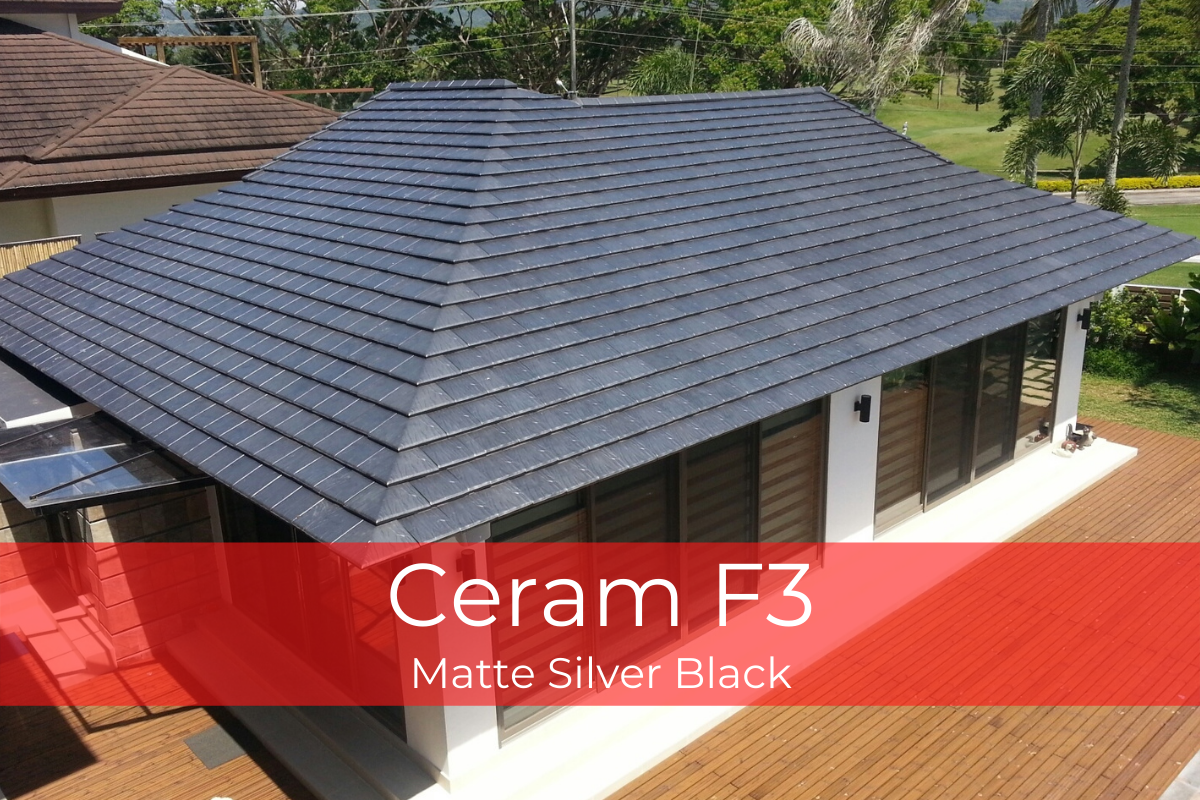 Ceram F3 Matte Silver Black