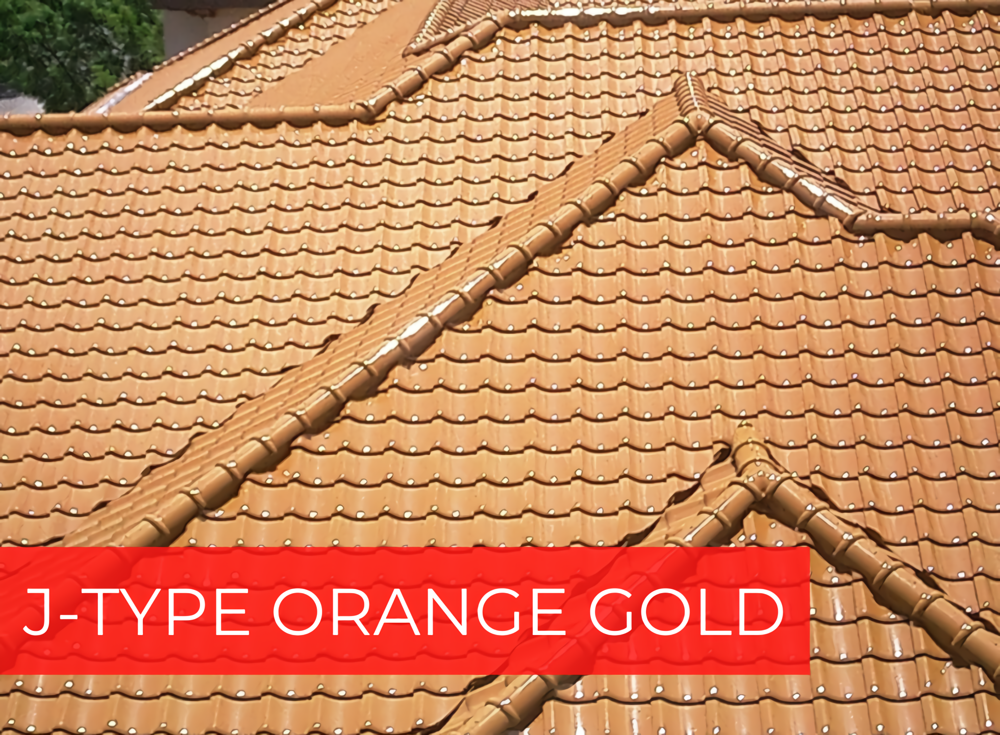 J-TYPE ORANGE GOLD photo