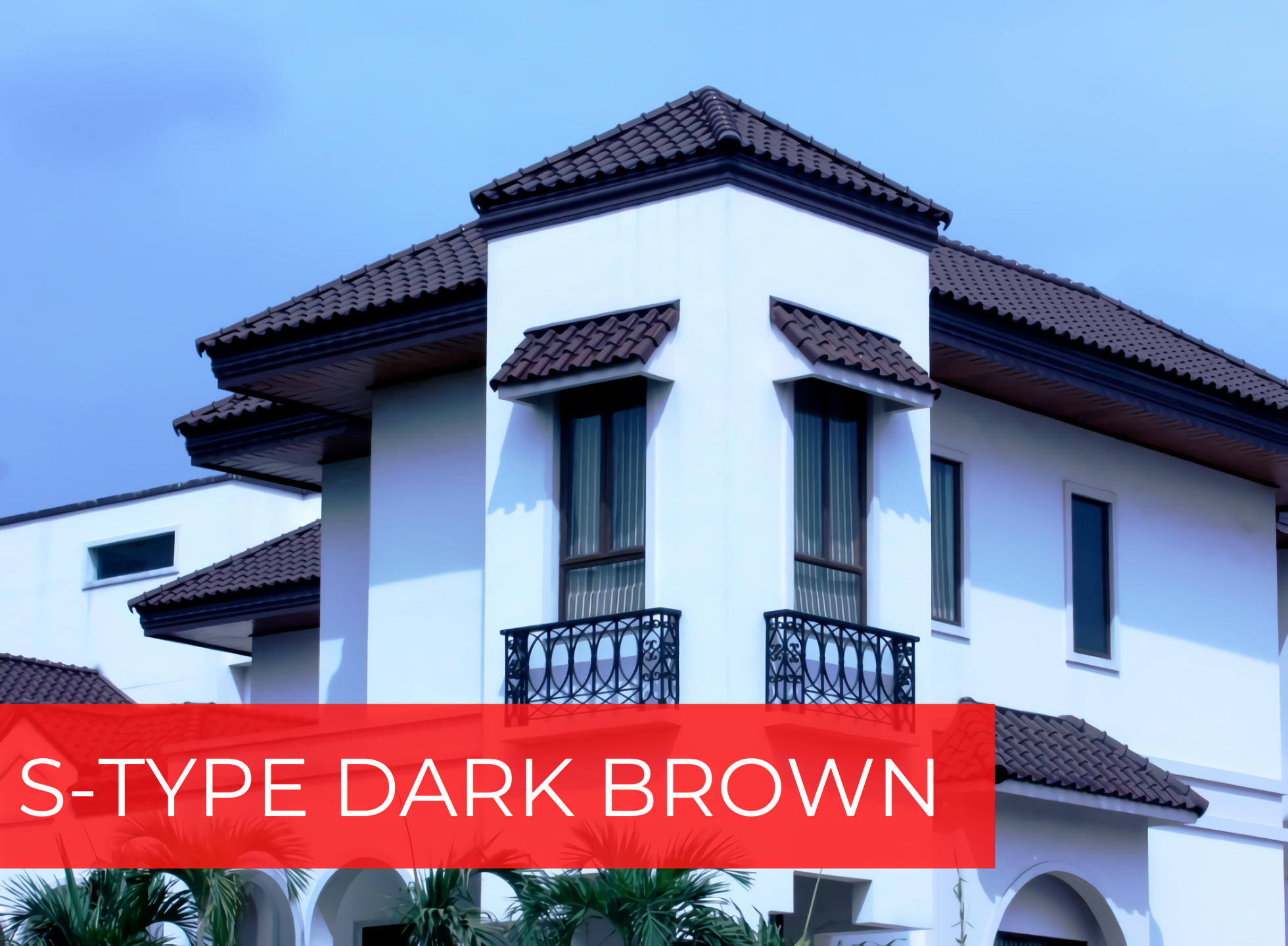 S-TYPE DARK BROWN photo