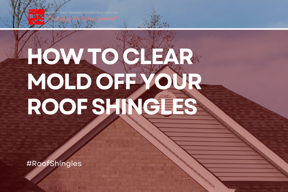 Roof shingles